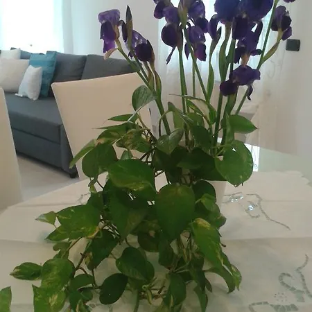 Iris Apartamento Monopoli